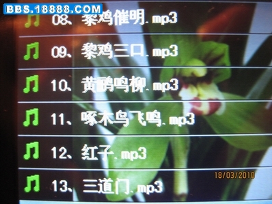音频文件2.jpg