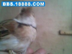 IMG0094A.jpg