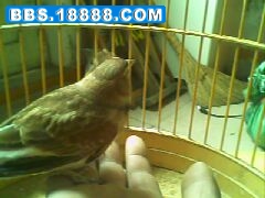 IMG0060A.jpg