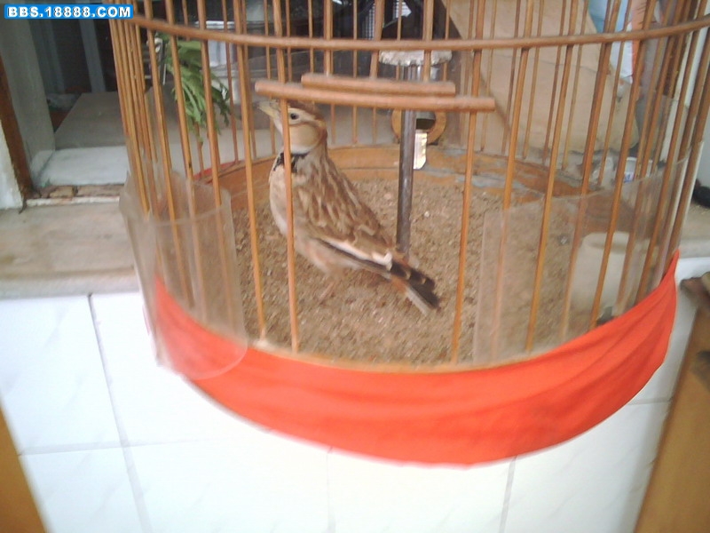 095_缩小大小.jpg