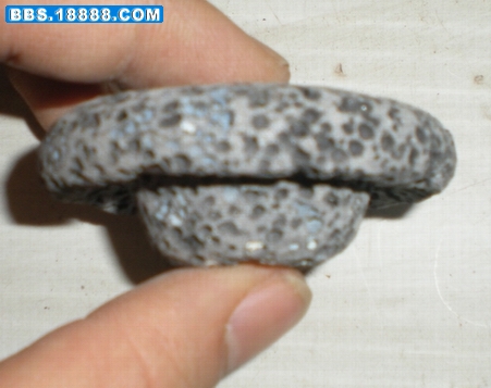 DSCN1103.JPG