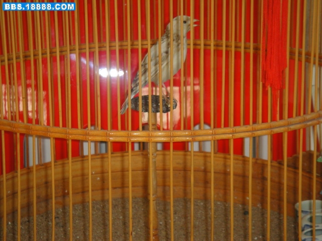 DSC01624.JPG