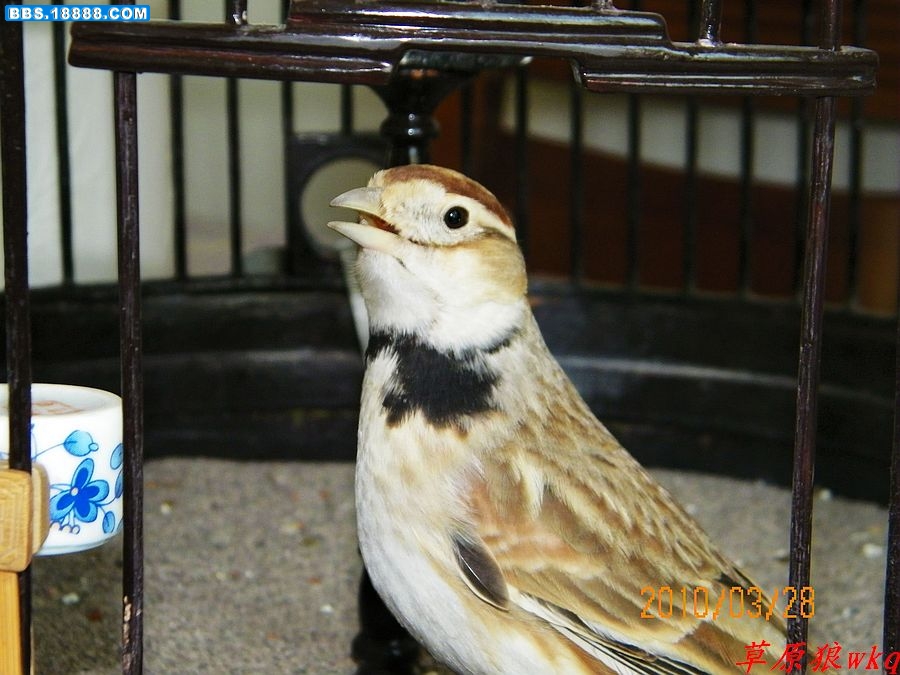 nEO_IMG_100_0350.jpg
