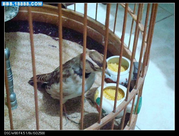 nEO_IMG_DSC01111.jpg