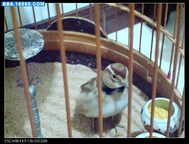nEO_IMG_DSC01094.jpg