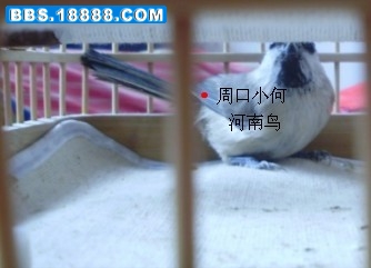 新3.jpg