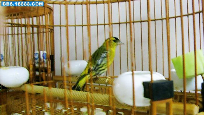 nEO_IMG_S73F2201.jpg