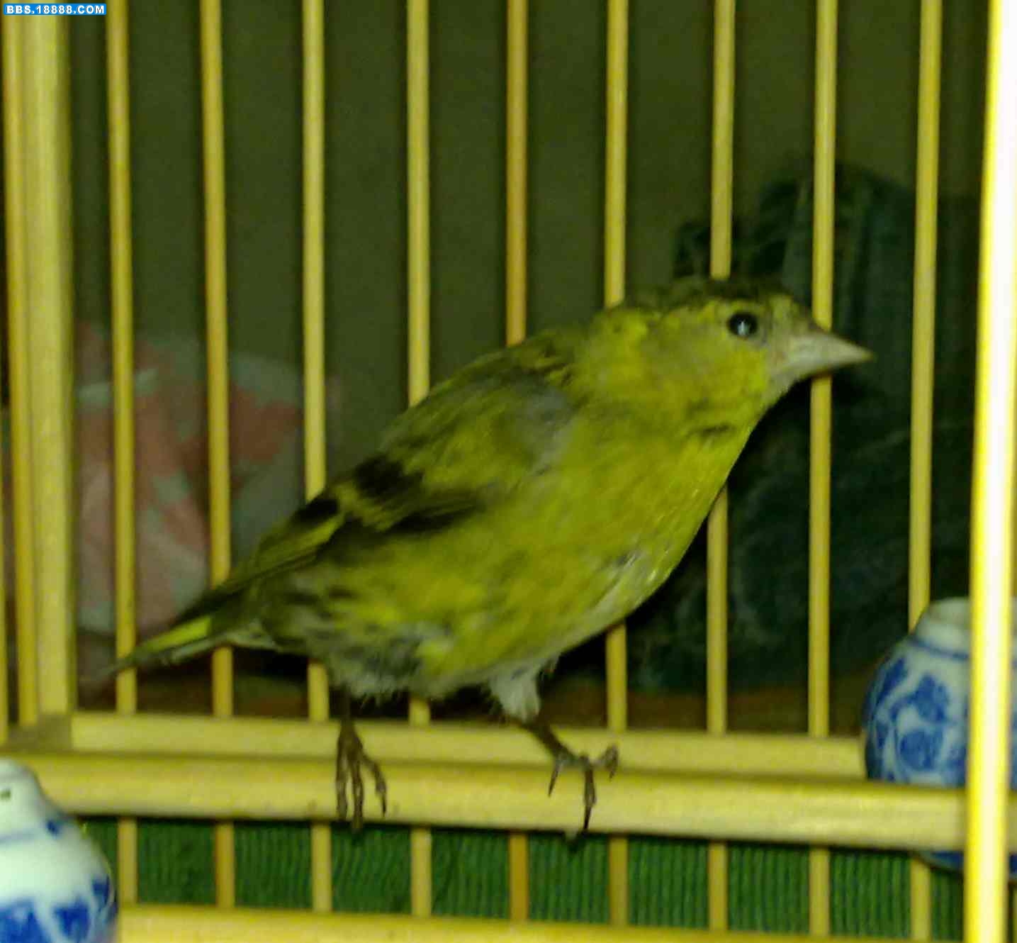 20100301215.jpg