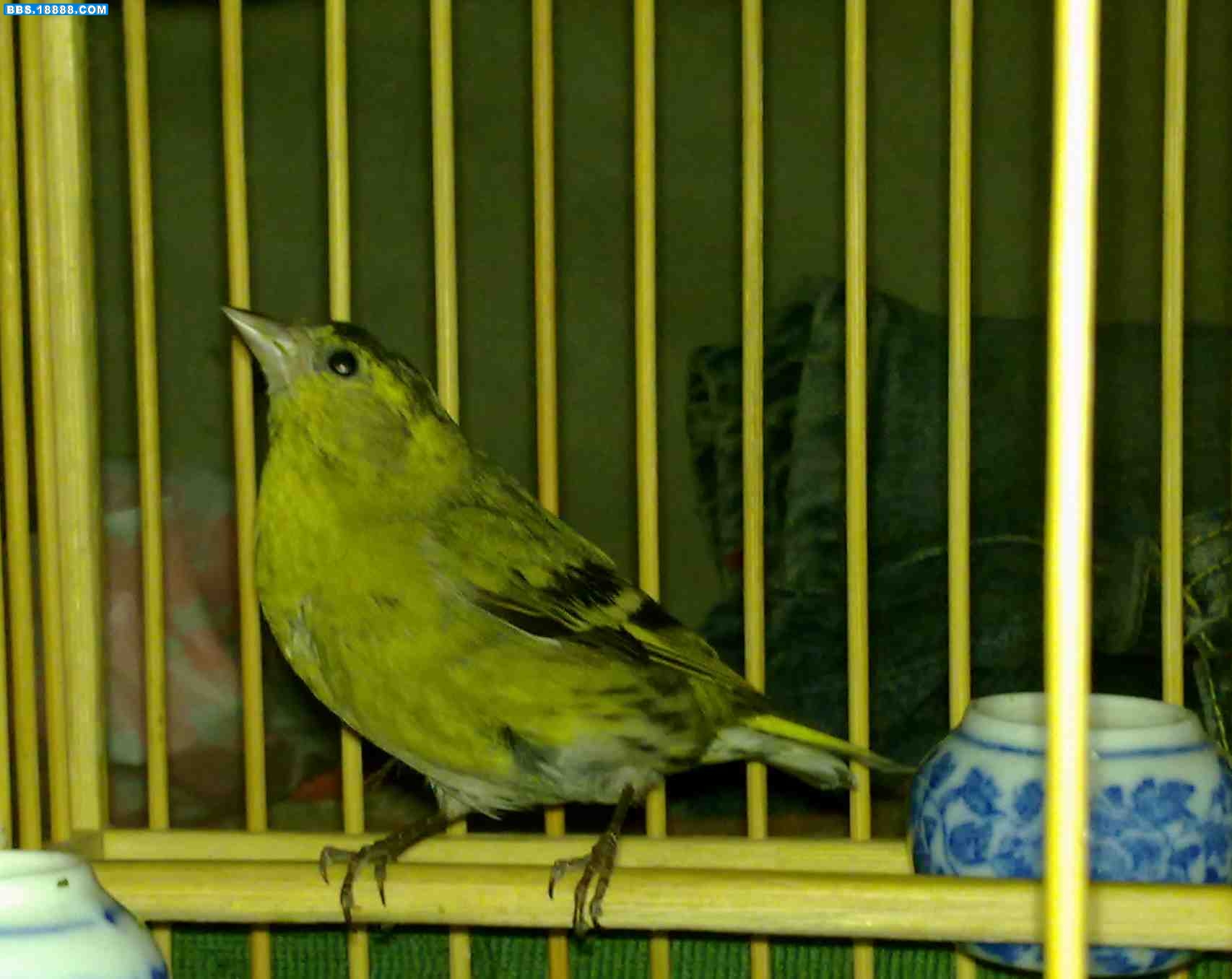 20100301220.jpg
