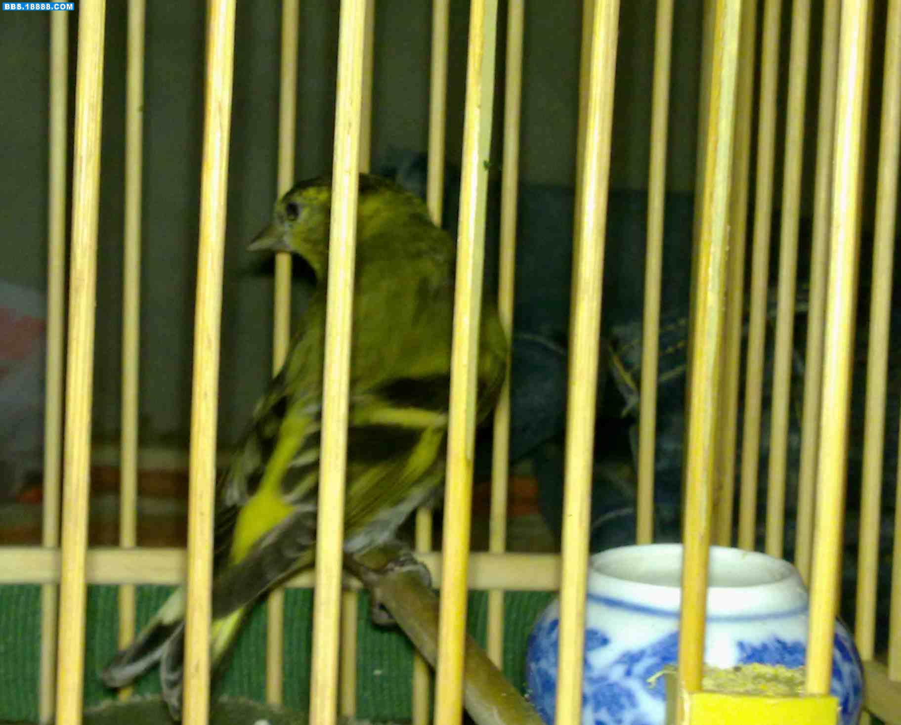 20100301222.jpg