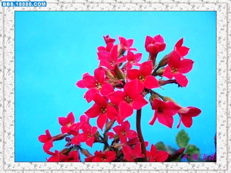 DSCF3899.jpg