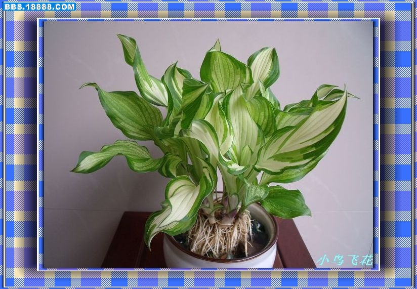 DSCF3903.jpg