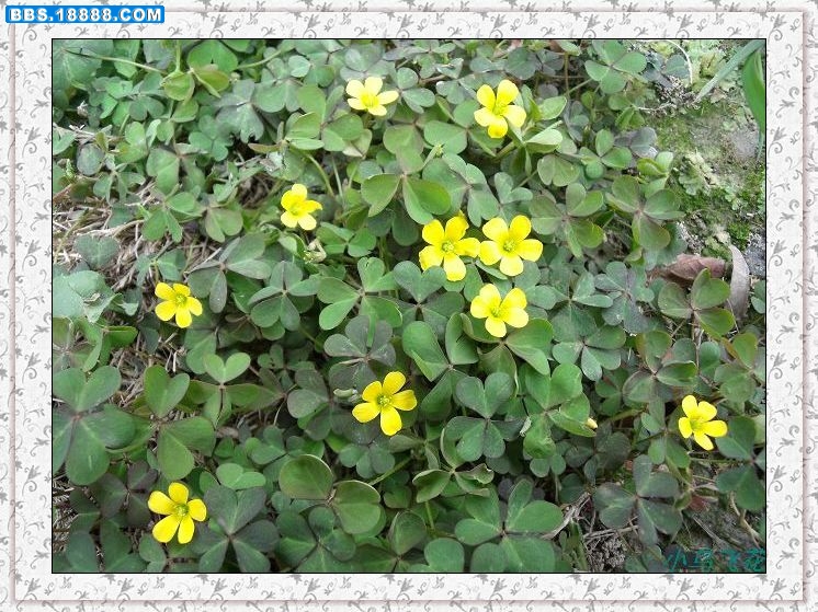 DSCF3941.JPG