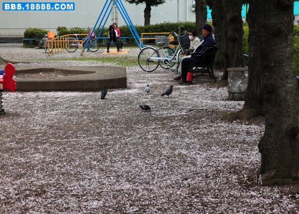 conew_img_3192.jpg
