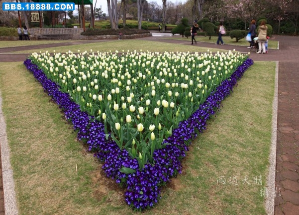 conew_img_3212.jpg