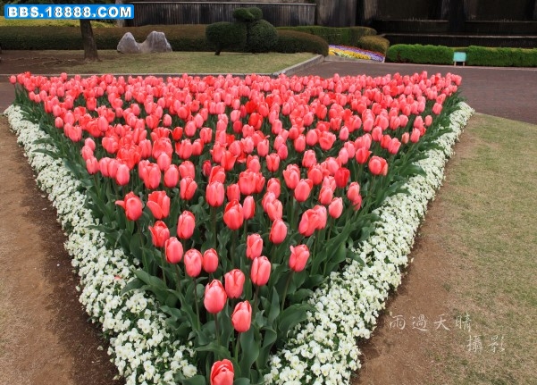 conew_img_3226.jpg