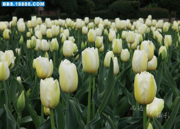 conew_img_3216.jpg