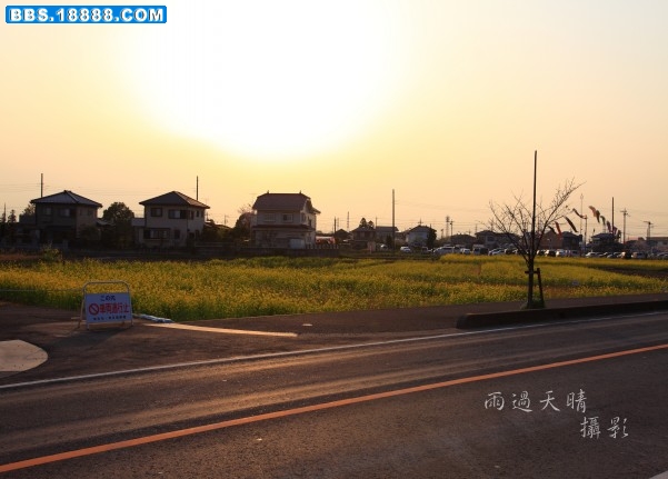 conew_img_3154.jpg