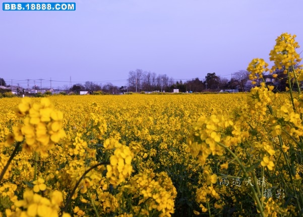 conew_img_3143.jpg