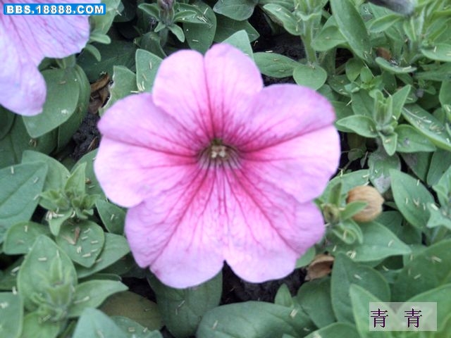 nEO_IMG_PICT0456.jpg