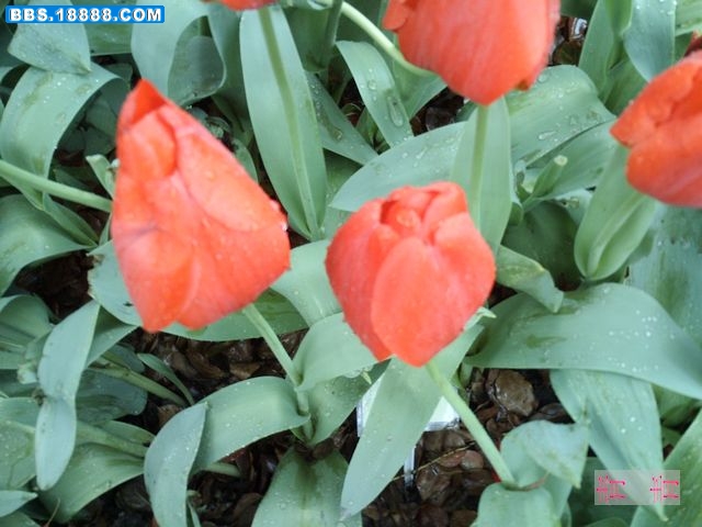 nEO_IMG_PICT0057.jpg