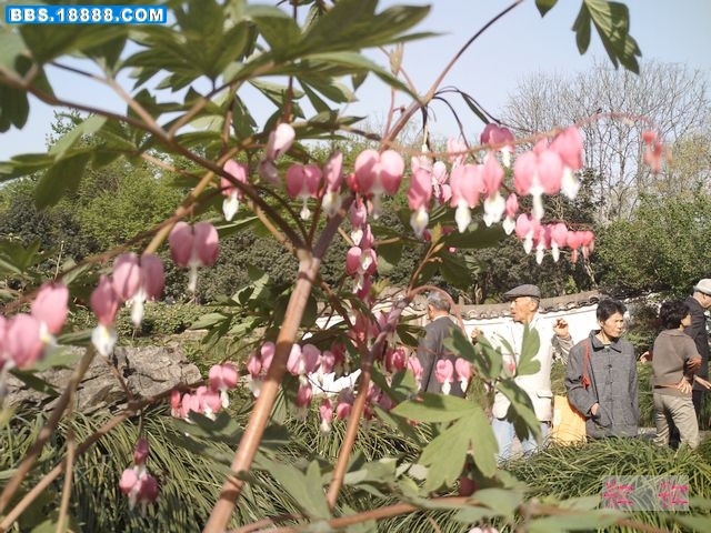nEO_IMG_PICT0122.jpg