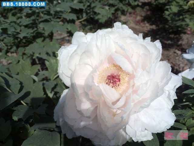 nEO_IMG_PICT0120.jpg