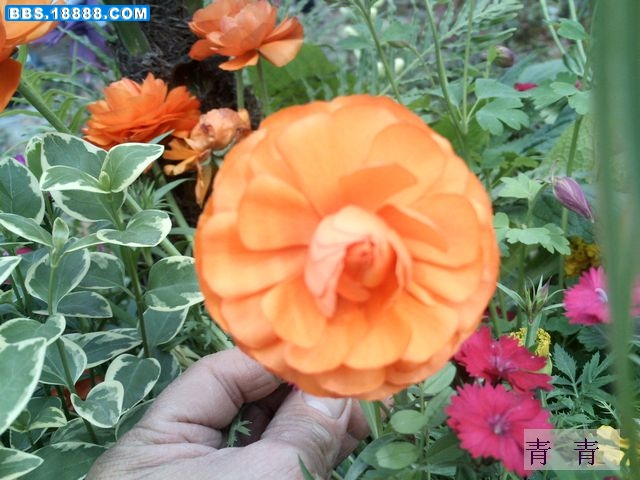 nEO_IMG_PICT0064.jpg