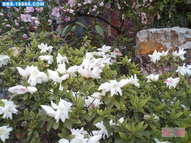 nEO_IMG_PICT0143.jpg
