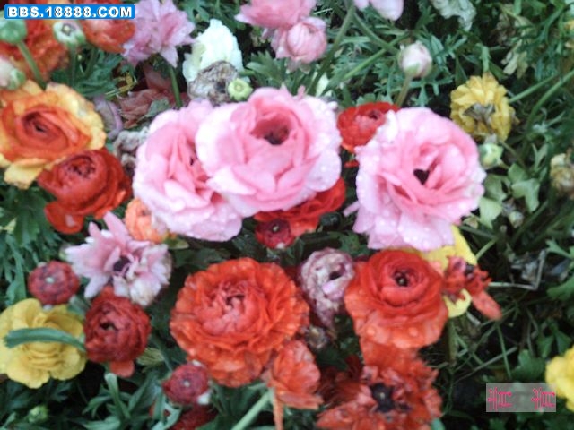 nEO_IMG_PICT0056.jpg