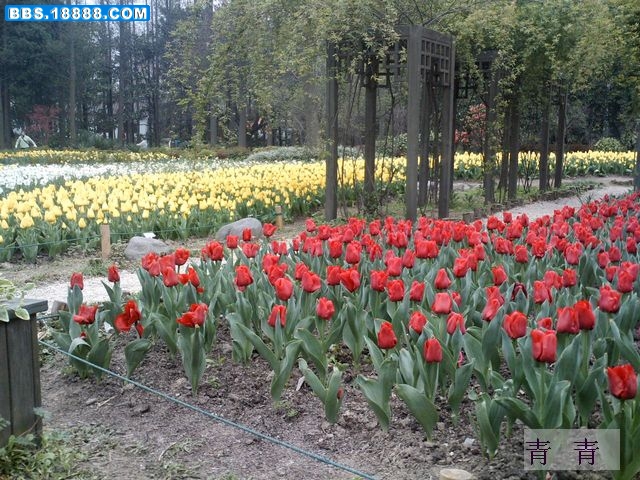 nEO_IMG_PICT0096.jpg