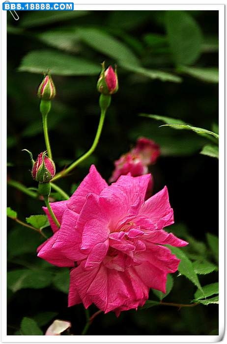 2010.4.12 040.jpg