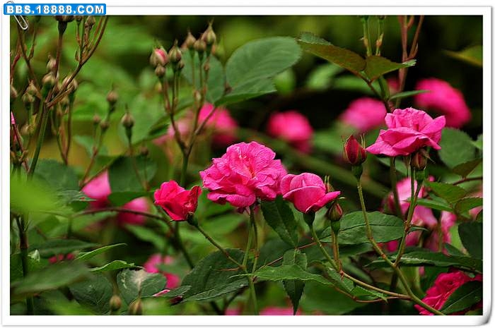 2010.4.12 033.jpg