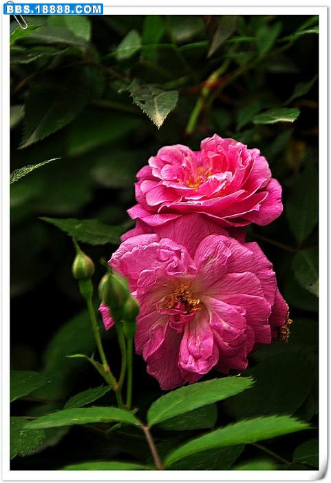 2010.4.12 045.jpg