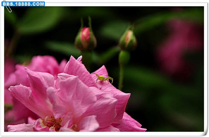 2010.4.12 009.jpg