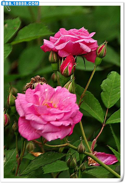 2010.4.12 035.jpg