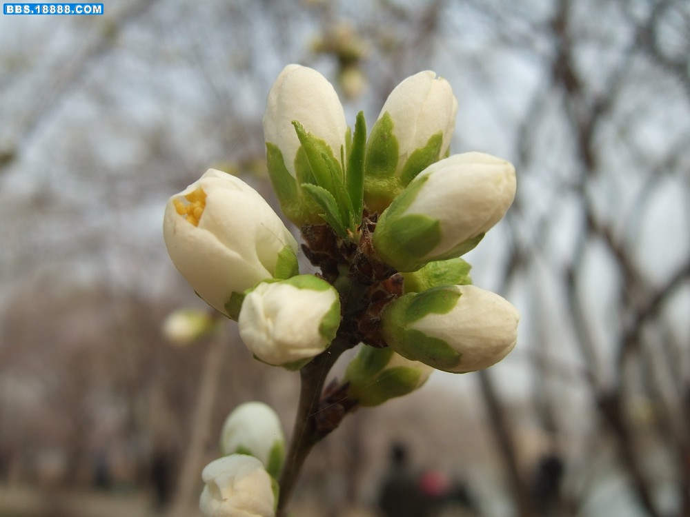images019.jpg
