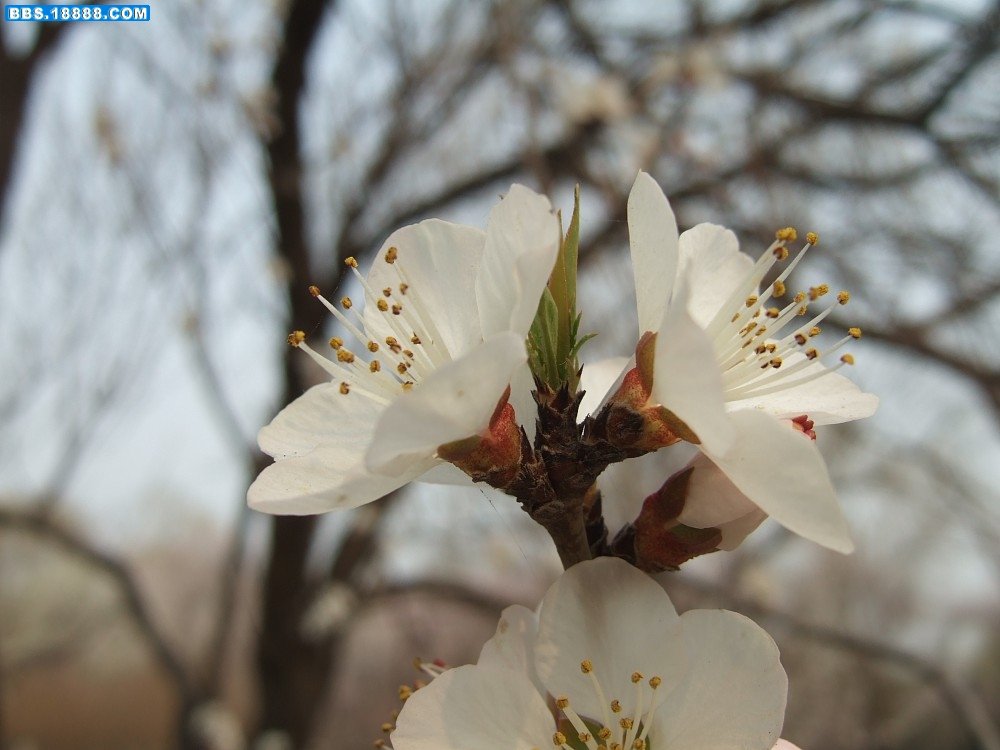 images015.jpg