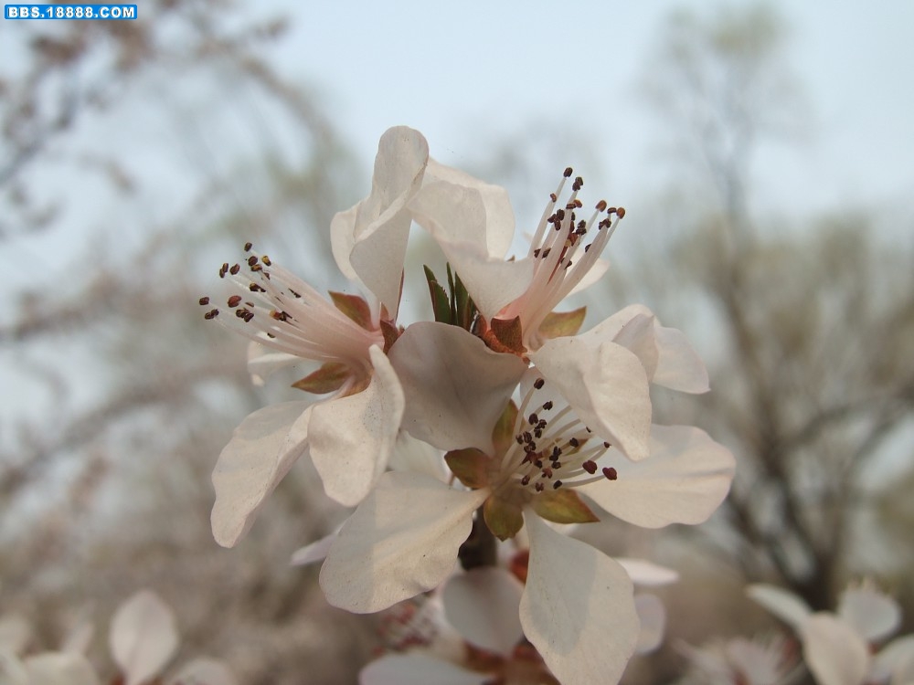 images008.jpg