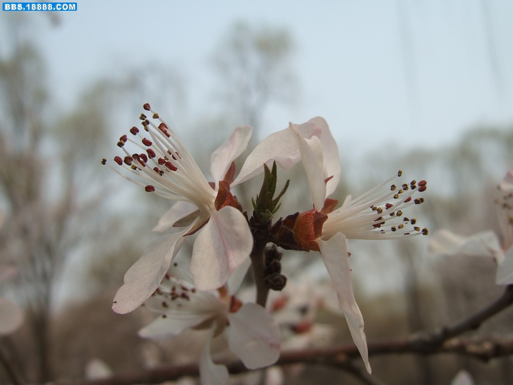 images009.jpg