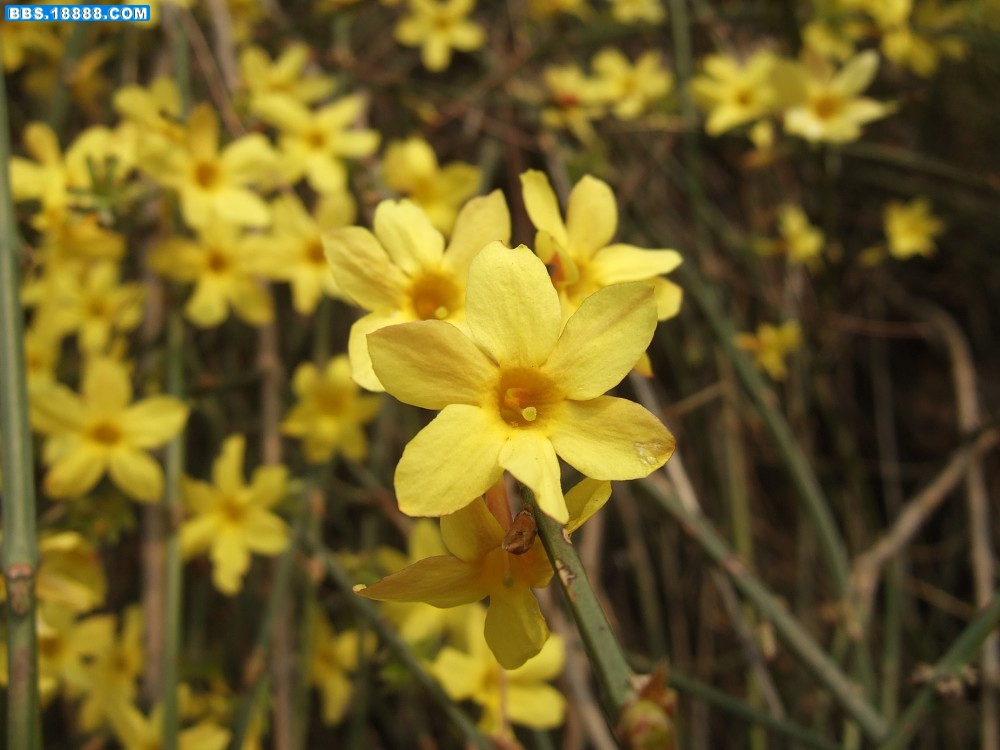 images067.jpg