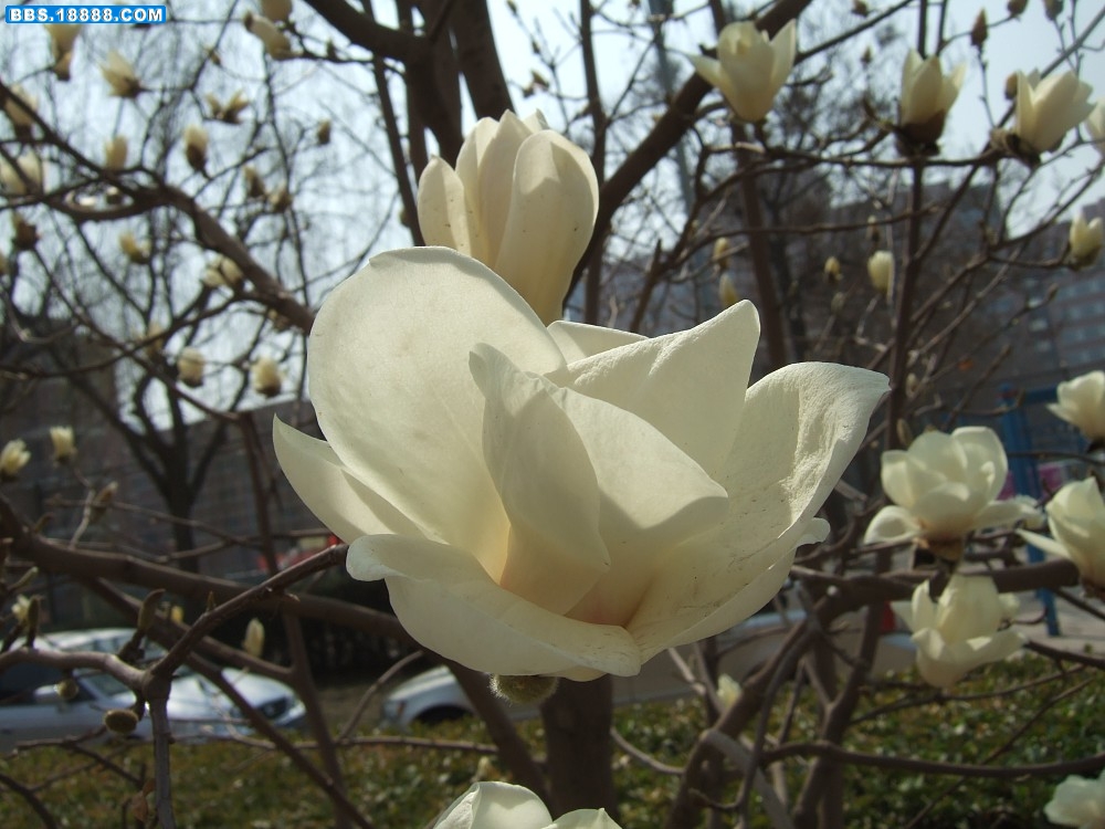 images004.jpg