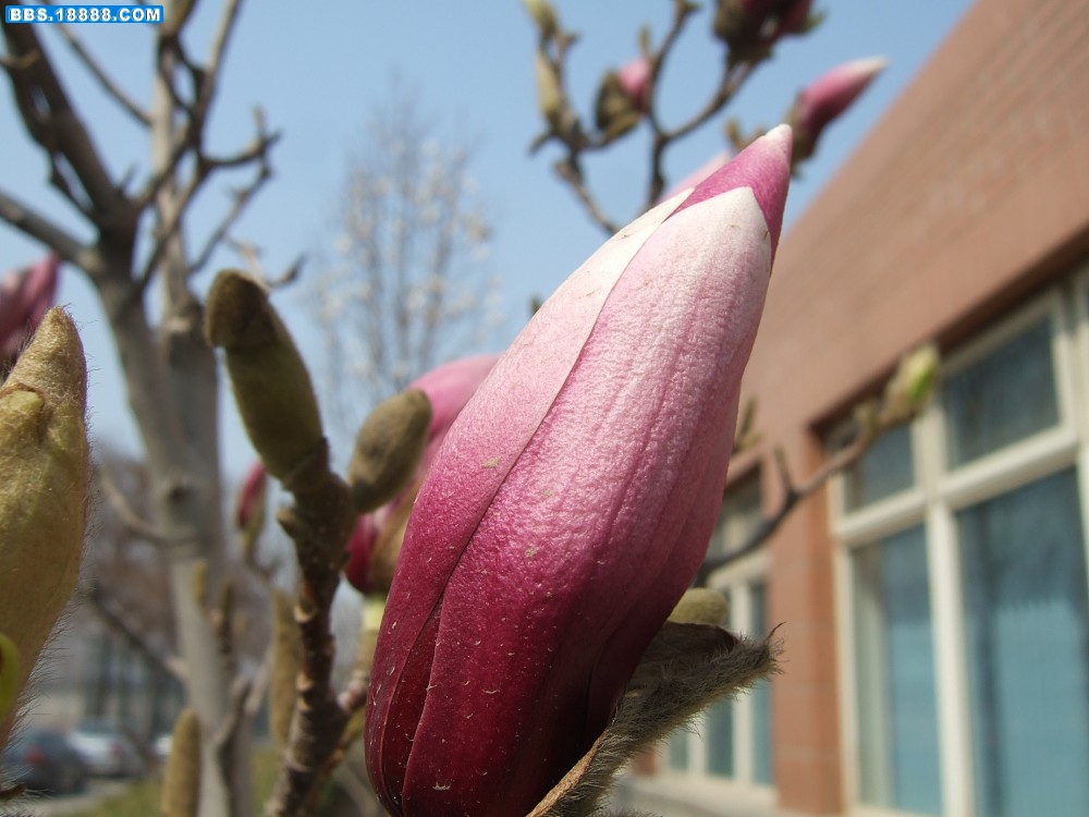 images017.jpg