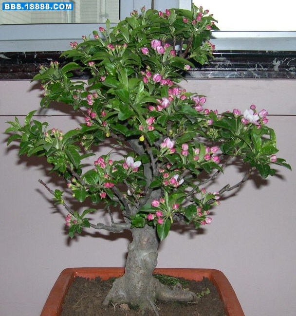 DSCN1948.JPG