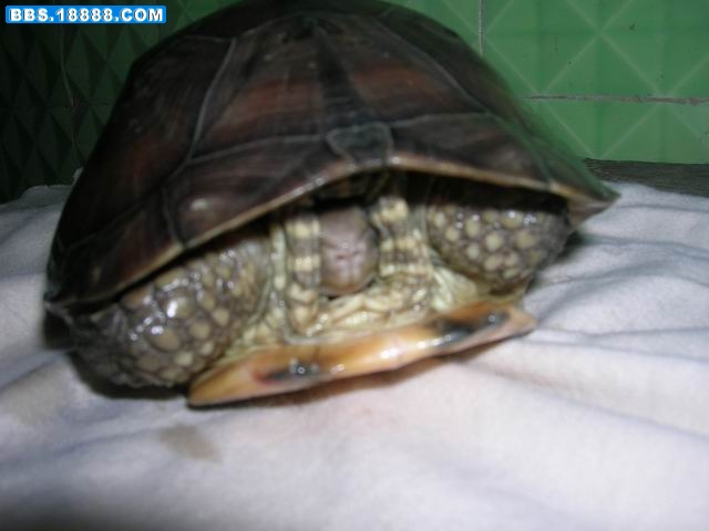 调整大小 DSCN1572.JPG