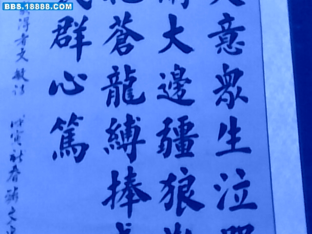 IMG0436A.jpg