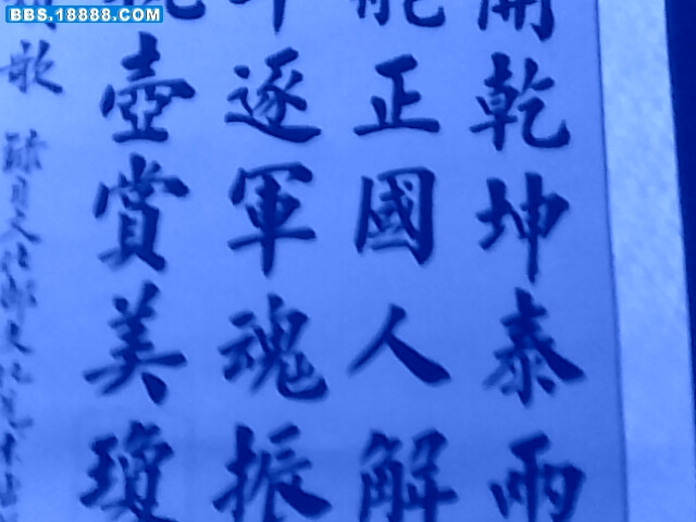IMG0434A.jpg