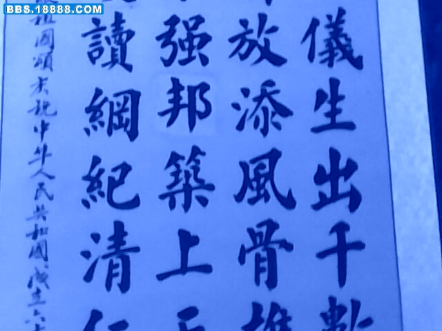 IMG0435A.jpg