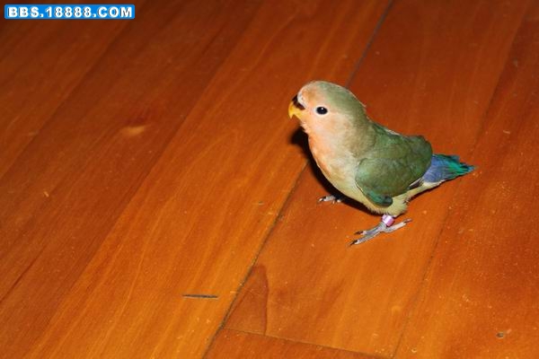 调整大小 IMG_0532.JPG