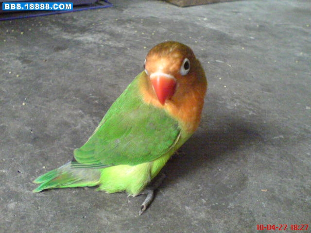 DSC00010.JPG